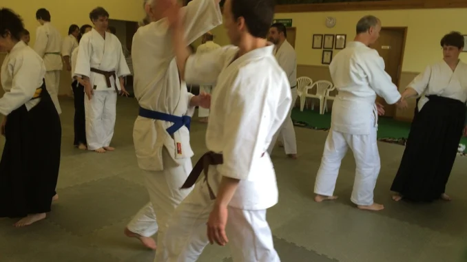 Diabetes and Ki Aikido