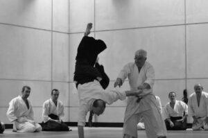 December 2018 Aikido Update