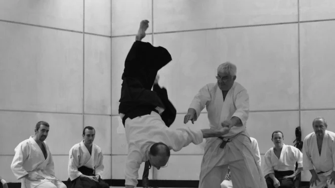 December 2018 Aikido Update