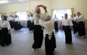 2019 Aikido Spring Seminar