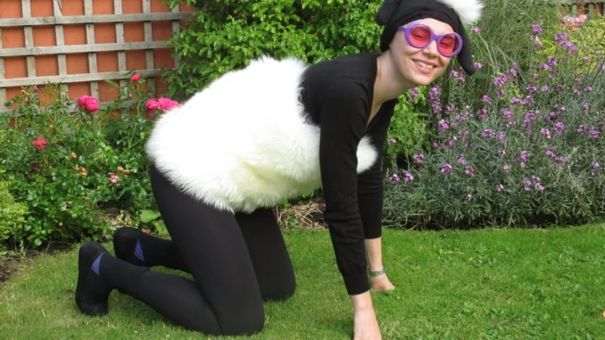 2015 Summer Seminar – Fancy Dress and Social