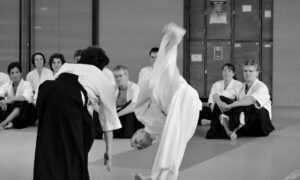 September 2019 Aikido Update