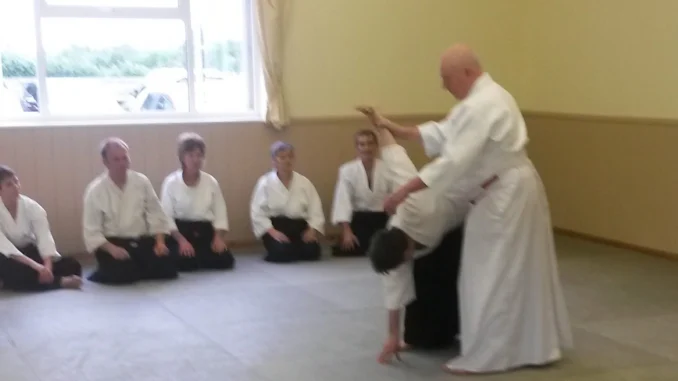 2017 Aikido Spring Seminar
