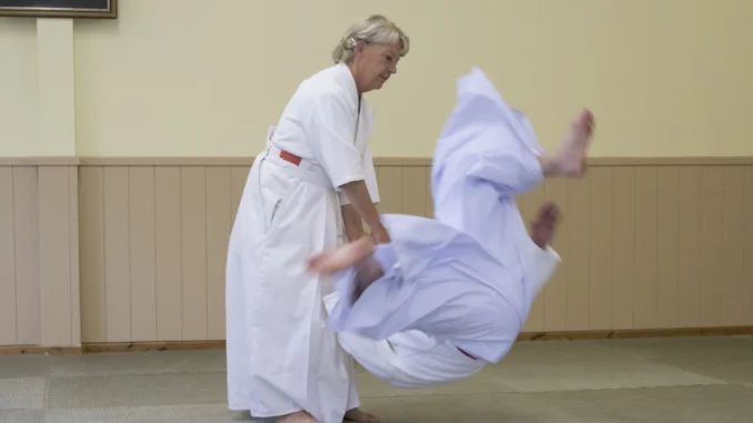 January 2018 Aikido Update