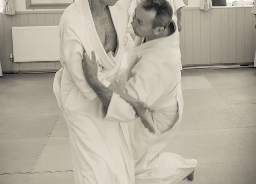 2017 5th-6th Dan Course