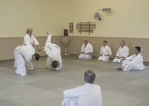 September 2018 Aikido Update