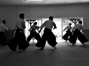 August 2018 Aikido Update