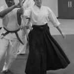 June 2019 Aikido Update