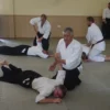 Gratitude within Aikido