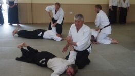 November 2024 Aikido Update