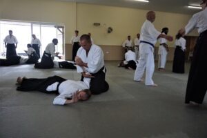 November 2024 Aikido Update