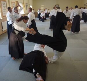 May 2024 Aikido Update