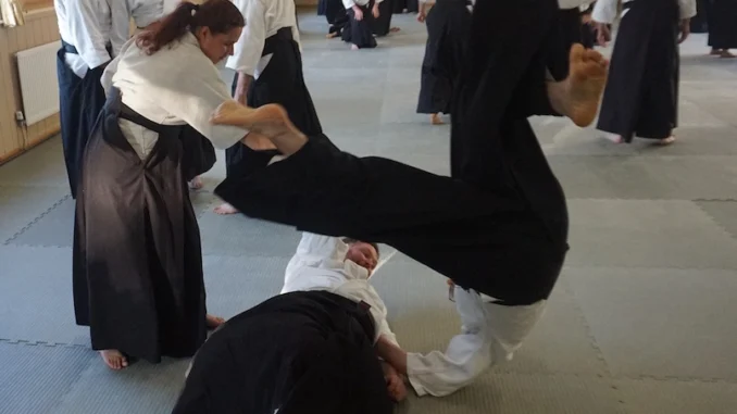 May 2024 Aikido Update