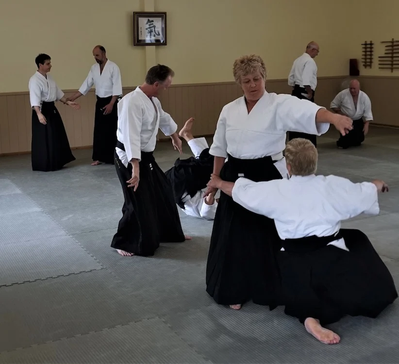 Training at Hitchin Ki Aikido Club