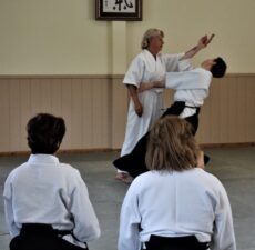 August 2019 Aikido Update