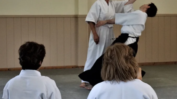 August 2019 Aikido Update