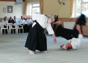 October 2019 Aikido Update