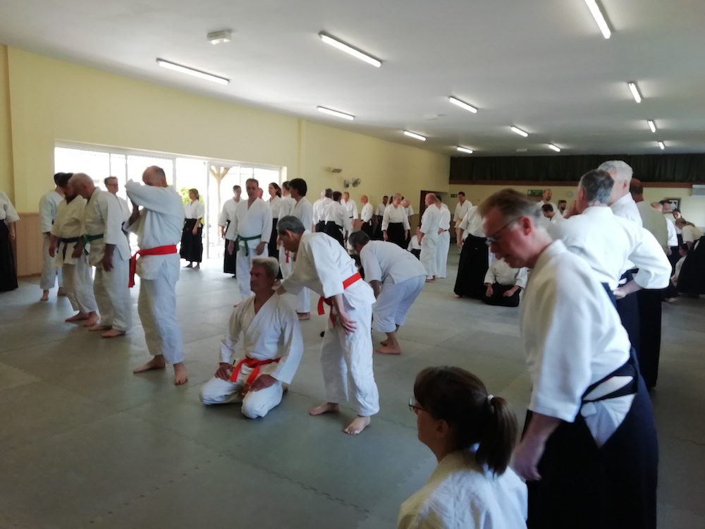 June 2023 Aikido Update