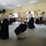 2023 Aikido Summer Seminar Pictures