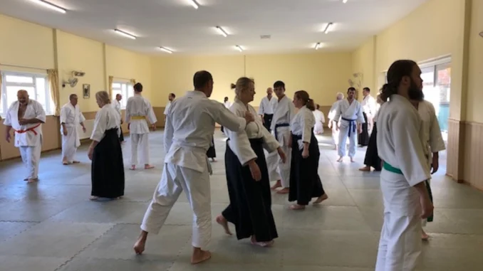 July 2025 Aikido Update
