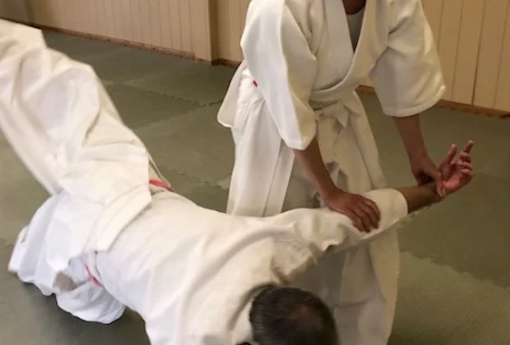 November 2023 Aikido Update