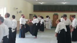 Summer Seminar