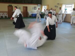 August 2024 Aikido Update