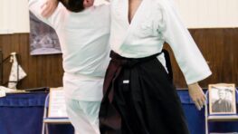 Summer Seminar