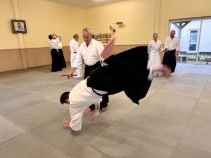 Ian throwing Ben after removing the tanto.