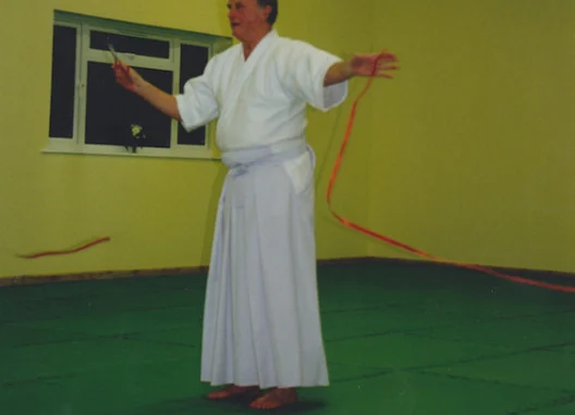 April 2019 Aikido Update