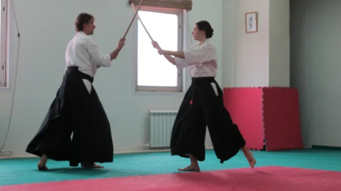 Summer Seminar 2014 News